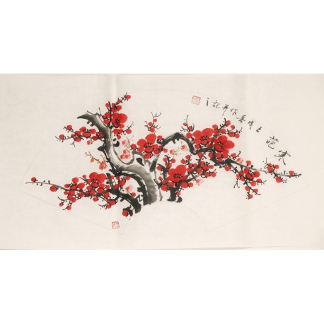 Plum - CNAG001593
