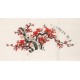 Plum - CNAG001594