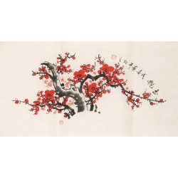 Plum - CNAG001594