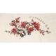 Plum - CNAG001595