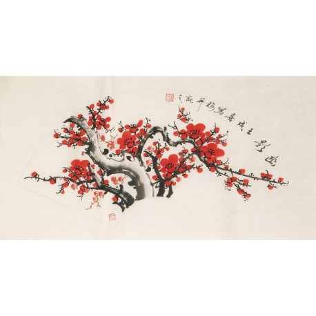 Plum - CNAG001595