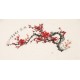 Plum - CNAG001597