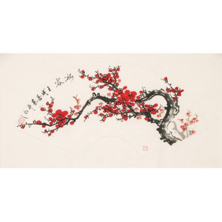 Plum - CNAG001597