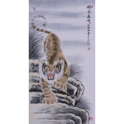 Tiger - CNAG000016