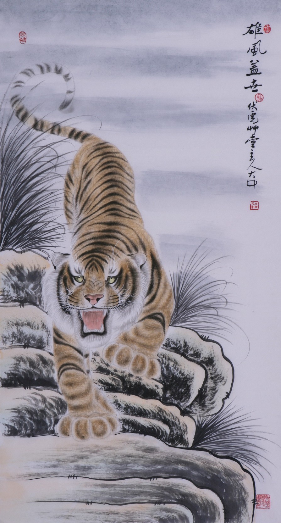 Tiger - CNAG000016