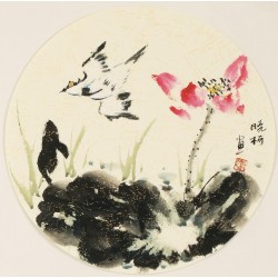 Lotus - CNAG001603