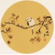 Other Birds - CNAG001606