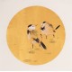 Other Birds - CNAG001613