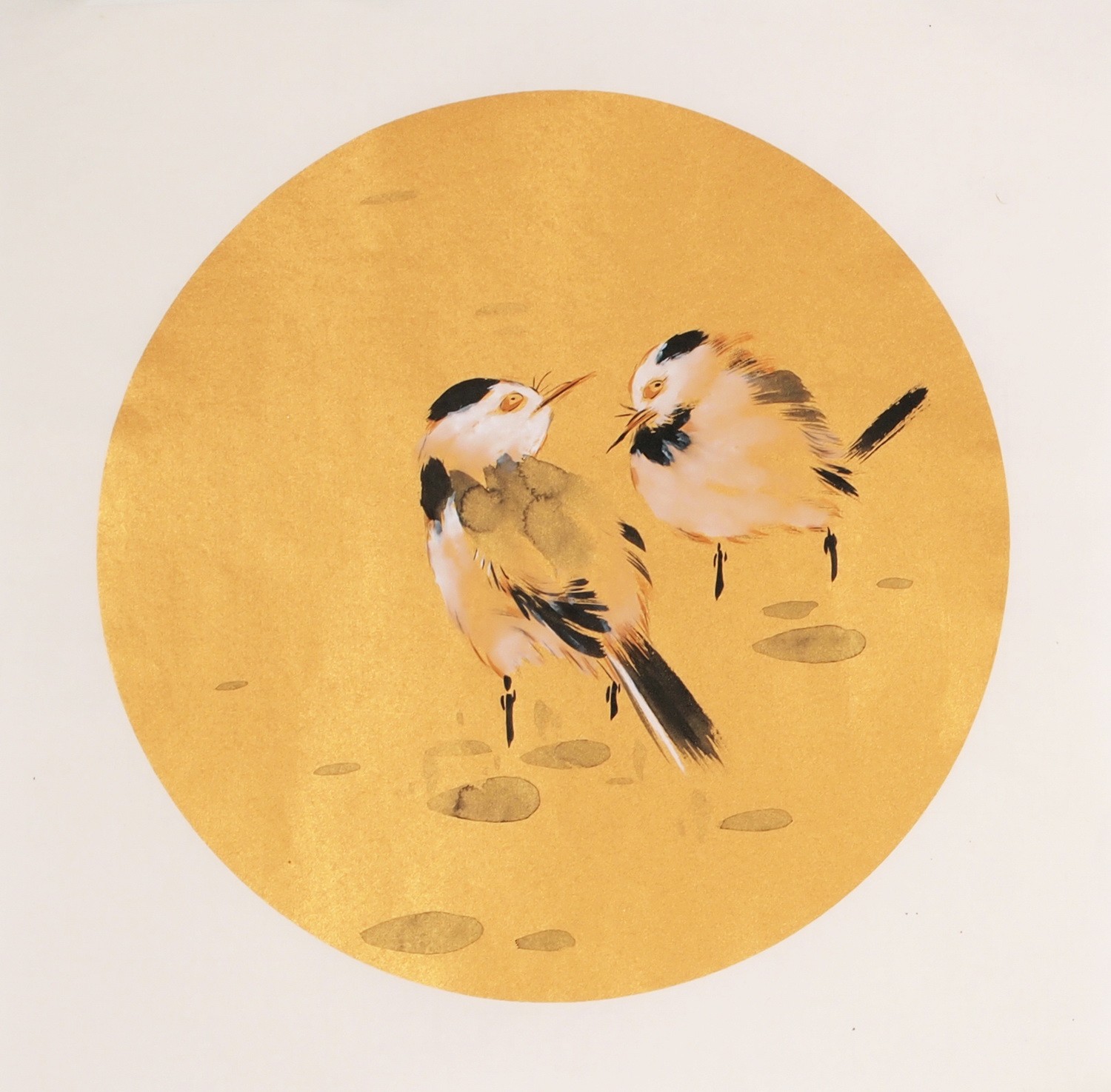 Other Birds - CNAG001613
