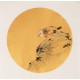 Other Birds - CNAG001614