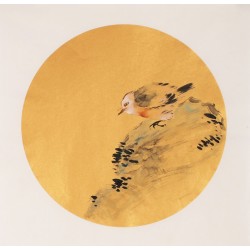 Other Birds - CNAG001614