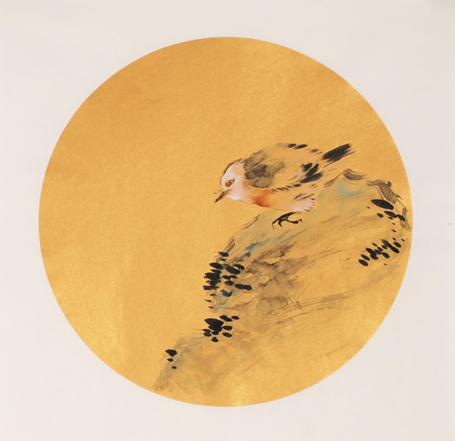 Other Birds - CNAG001614