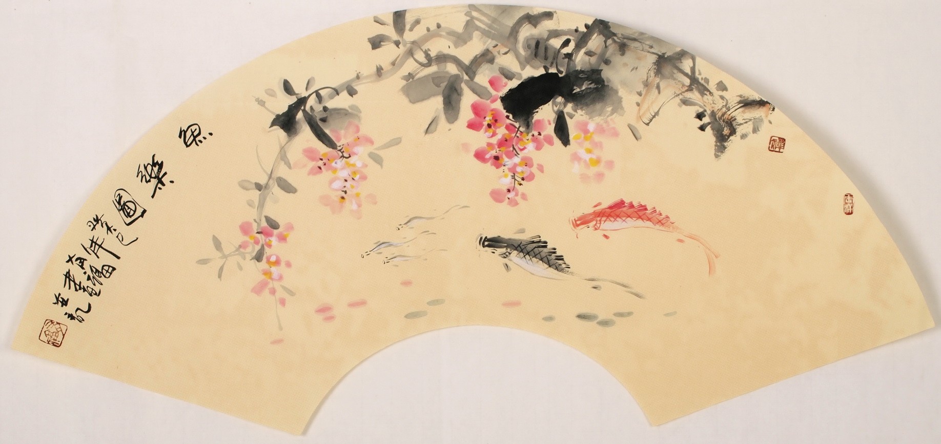 Fish - CNAG001624