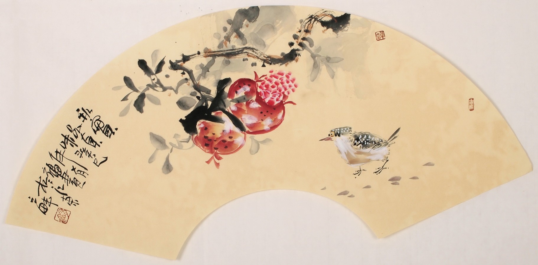 Other Birds - CNAG001631