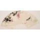 Other Birds - CNAG001635