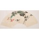 Other Birds - CNAG001637