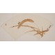 Other Birds - CNAG001638