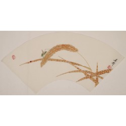 Other Birds - CNAG001638