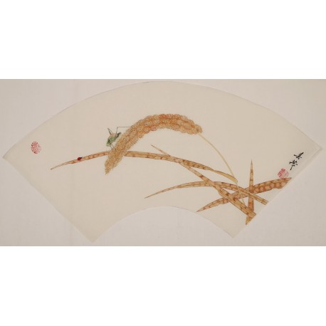 Other Birds - CNAG001638