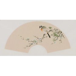 Plum - CNAG001641