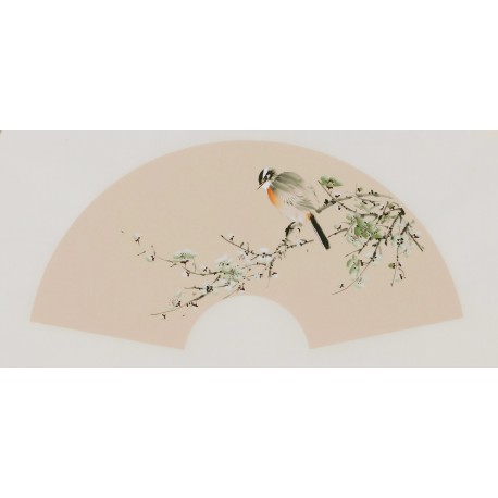 Plum - CNAG001641