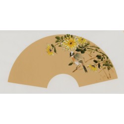 Chrysanthemum - CNAG001647