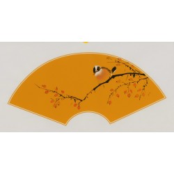 Other Birds - CNAG001648