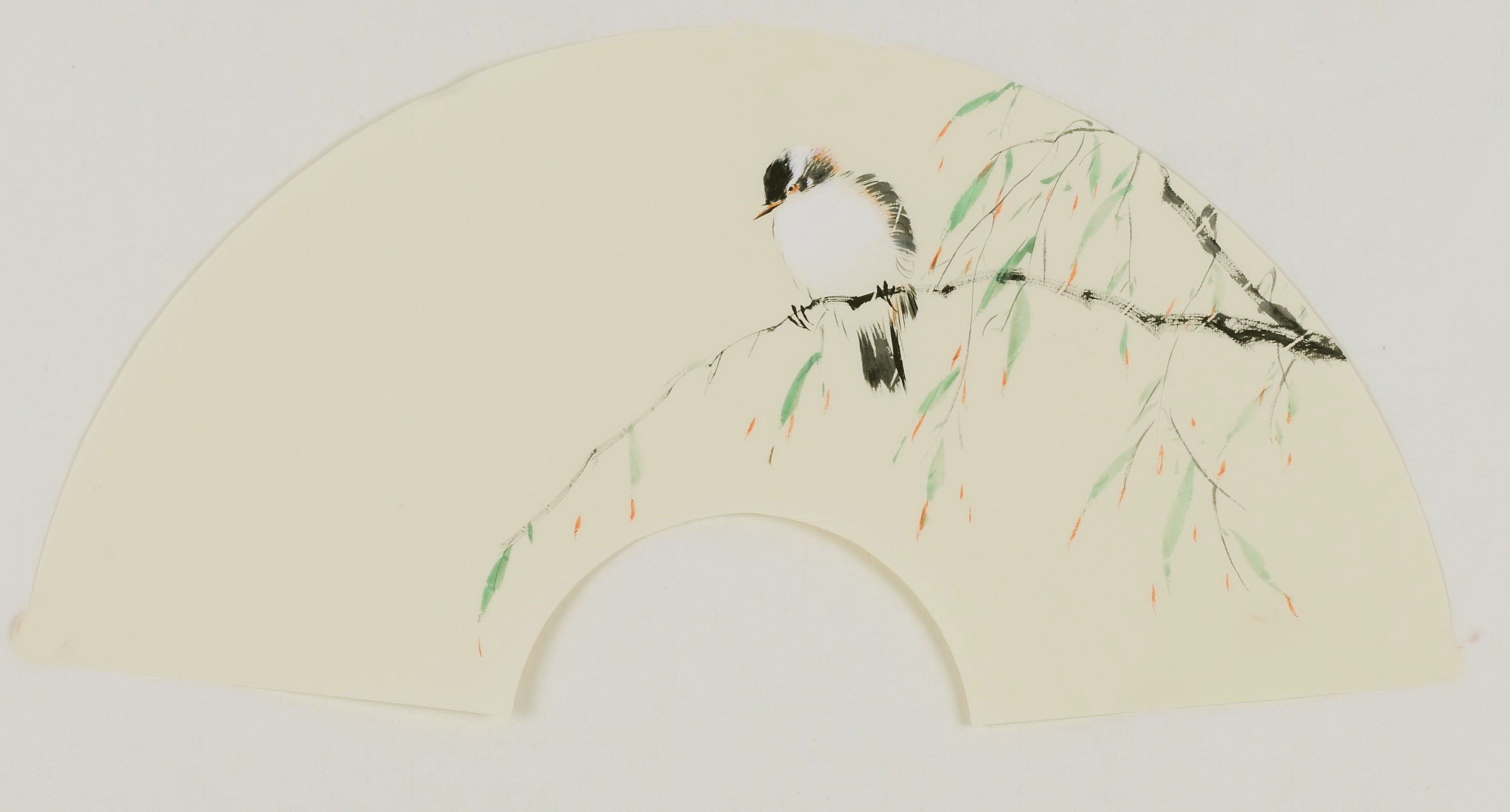 Willow - CNAG001659