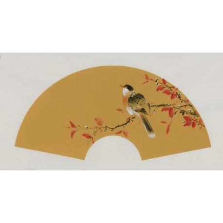 Other Birds - CNAG001662