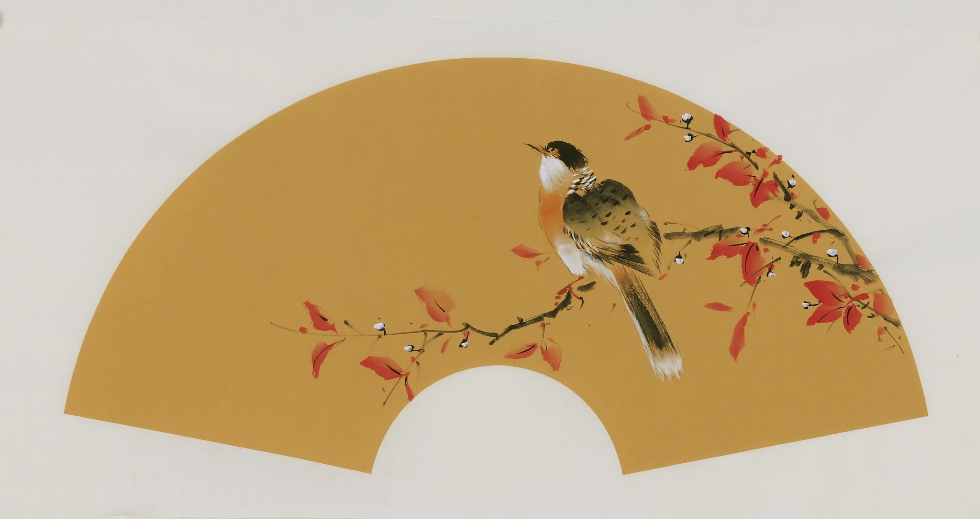 Other Birds - CNAG001662