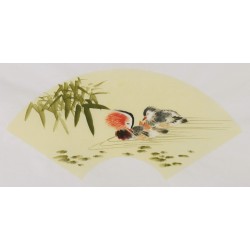 Mandarin Duck - CNAG001666