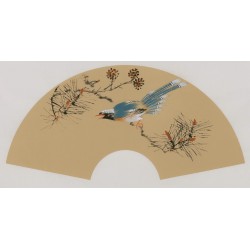 Paradise Flycatcher - CNAG001668