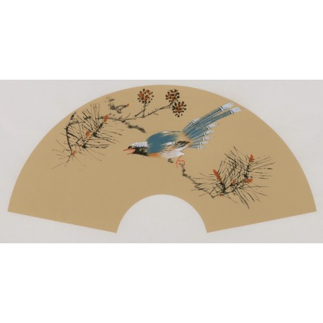 Paradise Flycatcher - CNAG001668