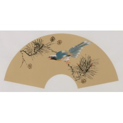 Paradise Flycatcher - CNAG001670