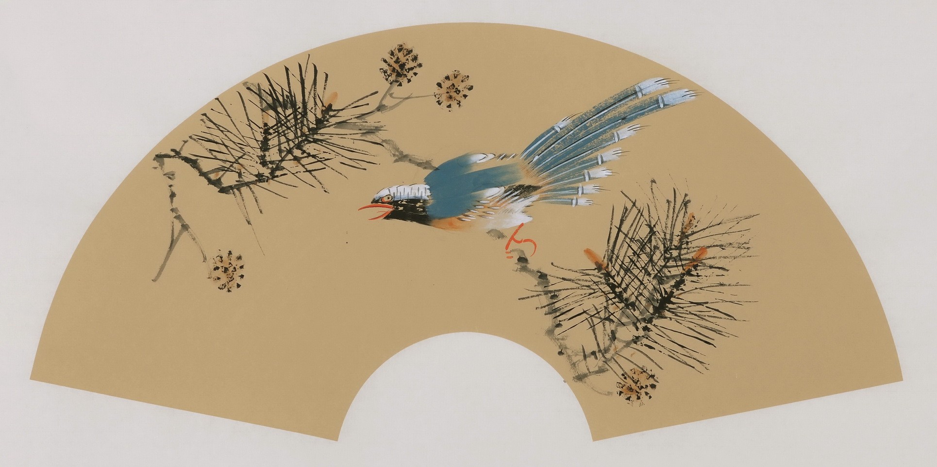 Paradise Flycatcher - CNAG001670
