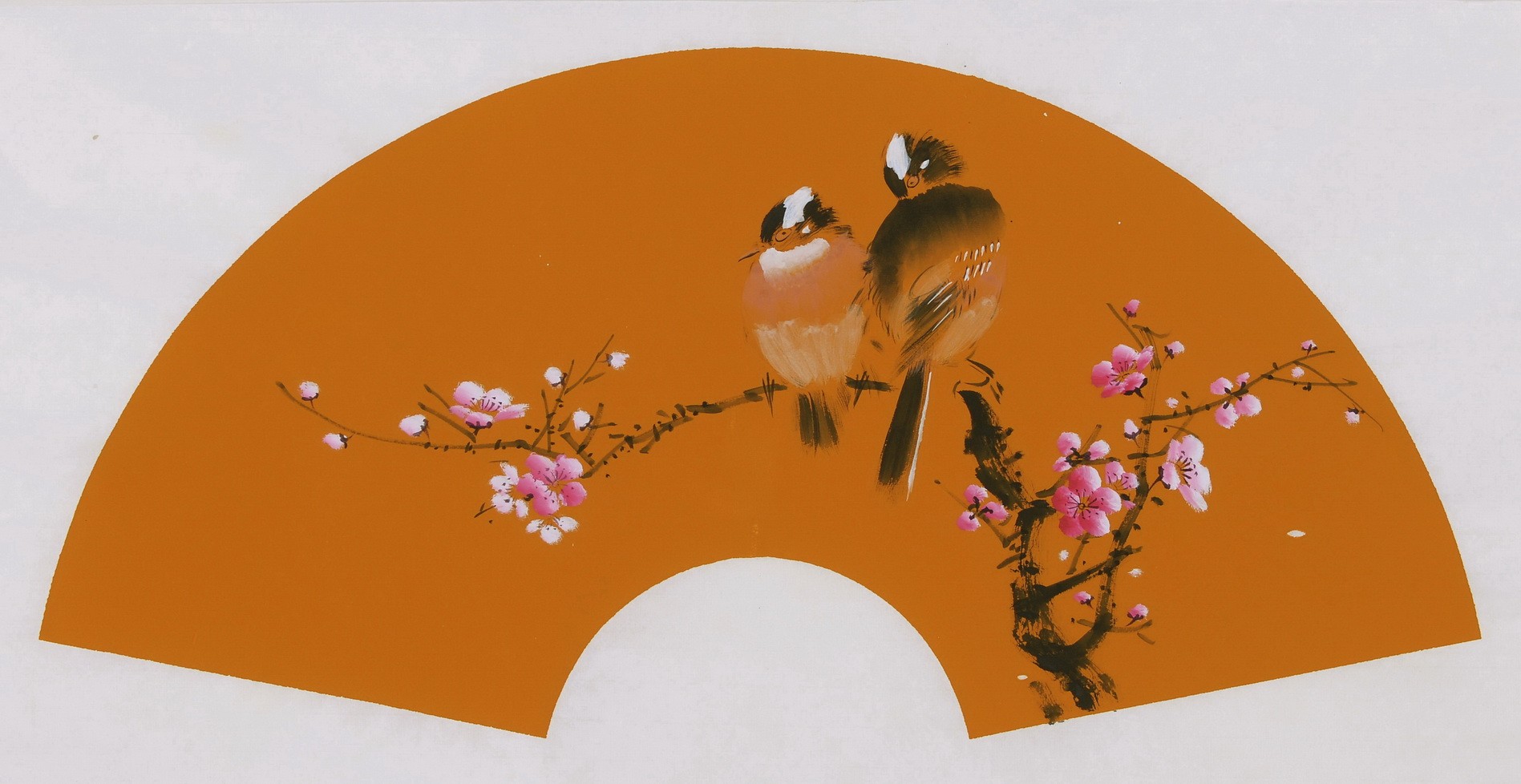 Plum - CNAG001674