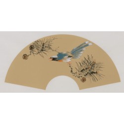 Paradise Flycatcher - CNAG001676