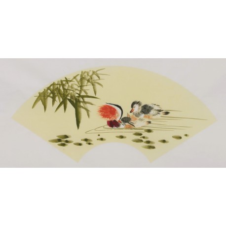 Mandarin Duck - CNAG001679