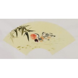 Mandarin Duck - CNAG001682
