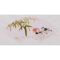 Mandarin Duck - CNAG001688