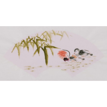 Mandarin Duck - CNAG001688