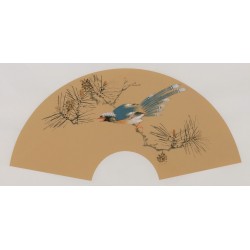 Paradise Flycatcher - CNAG001690