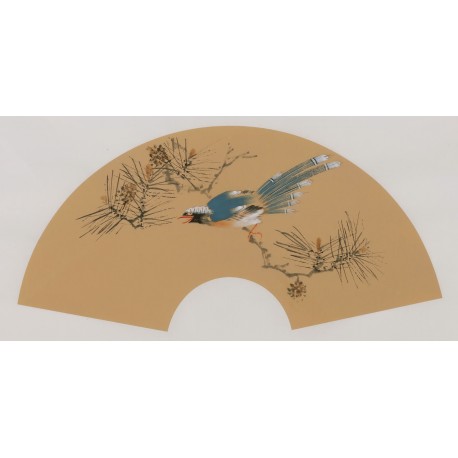 Paradise Flycatcher - CNAG001690