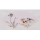 Mandarin Duck - CNAG001692