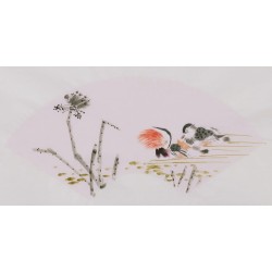 Mandarin Duck - CNAG001692
