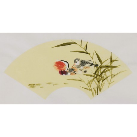 Mandarin Duck - CNAG001698