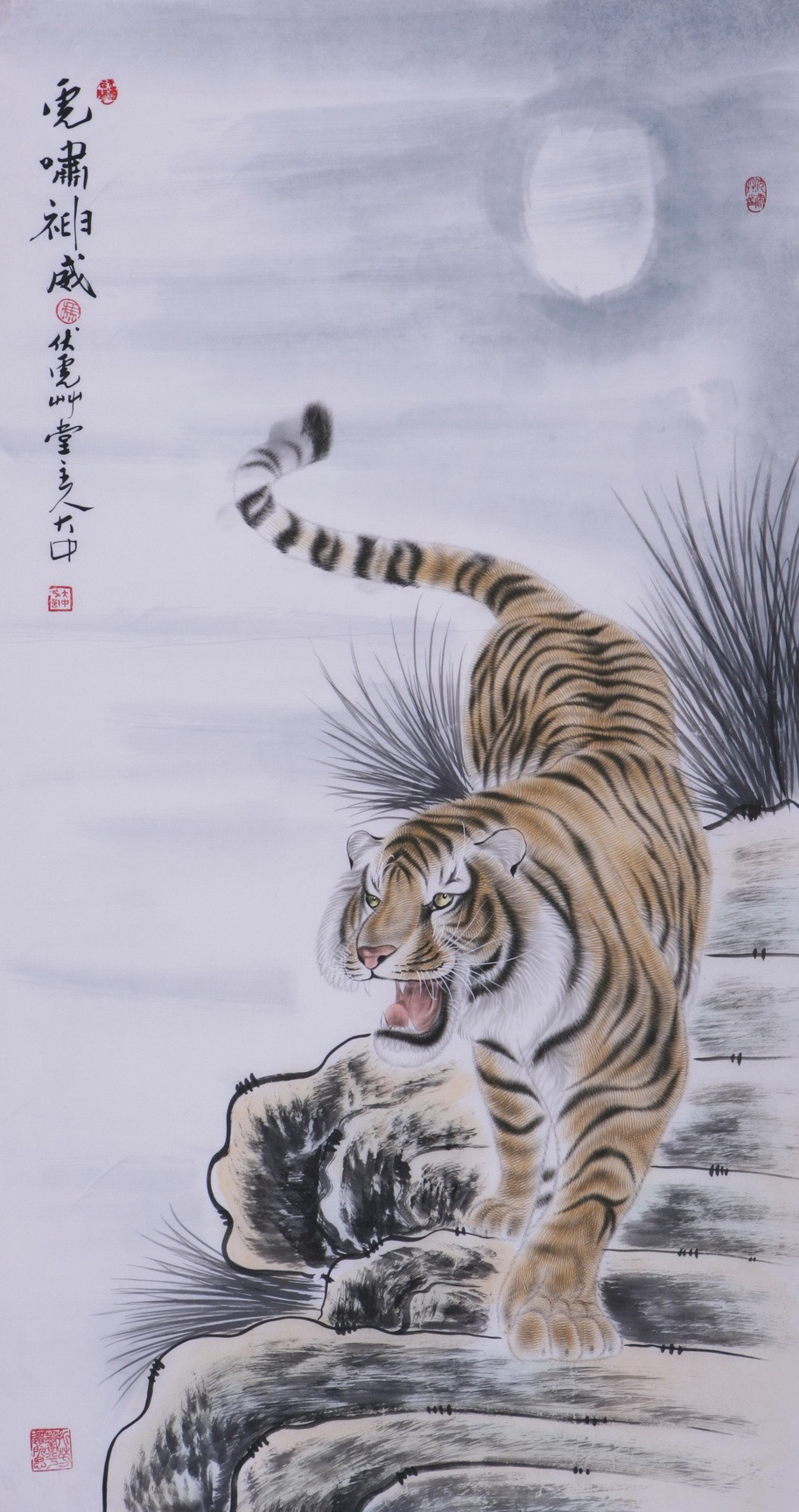 Tiger - CNAG000017