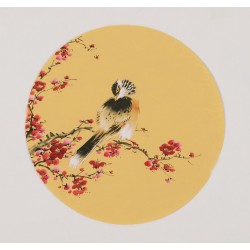 Plum - CNAG001732