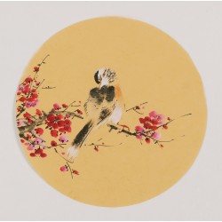 Plum - CNAG001734