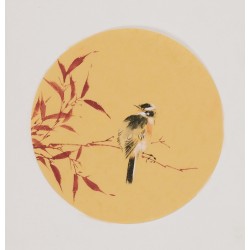 Bamboo - CNAG001736